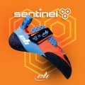 sentinel.jpg